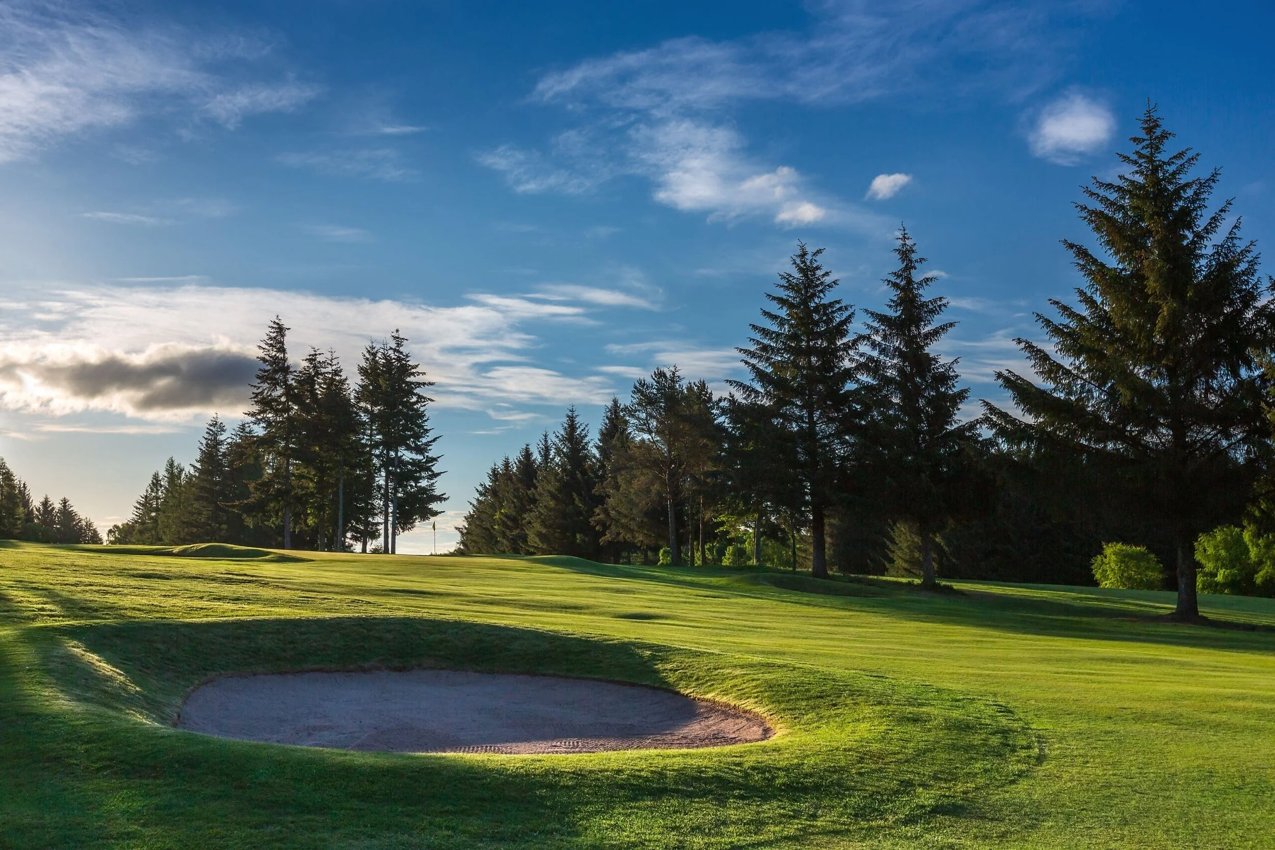 A bunkered green at Alyth Golf Club in evening light
